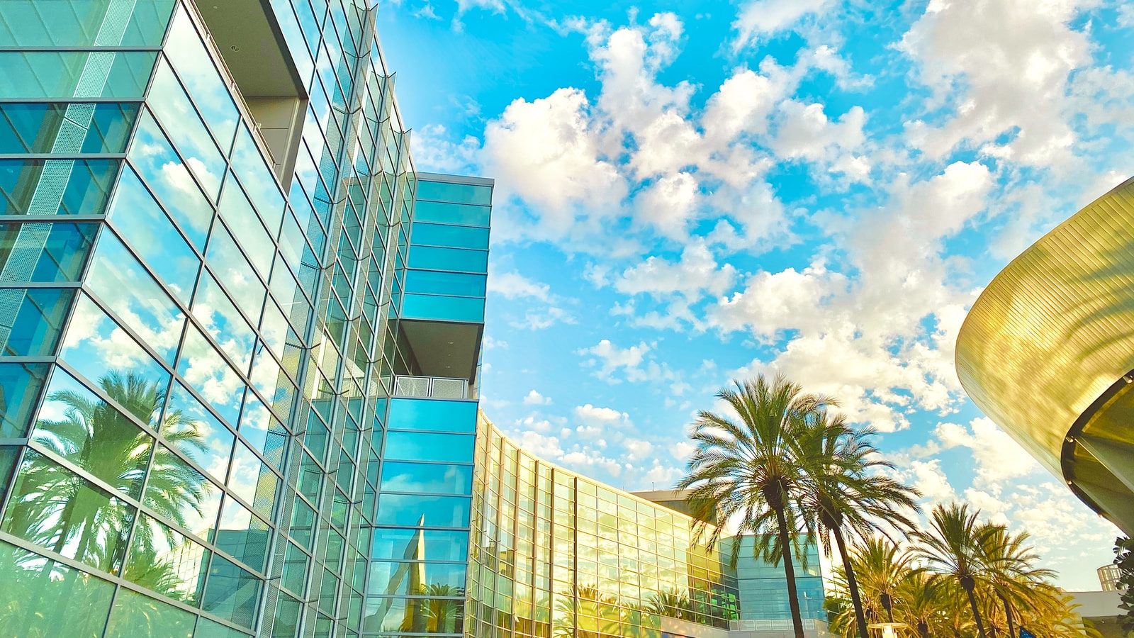 green palm tree near glass building under blue sky during daytime