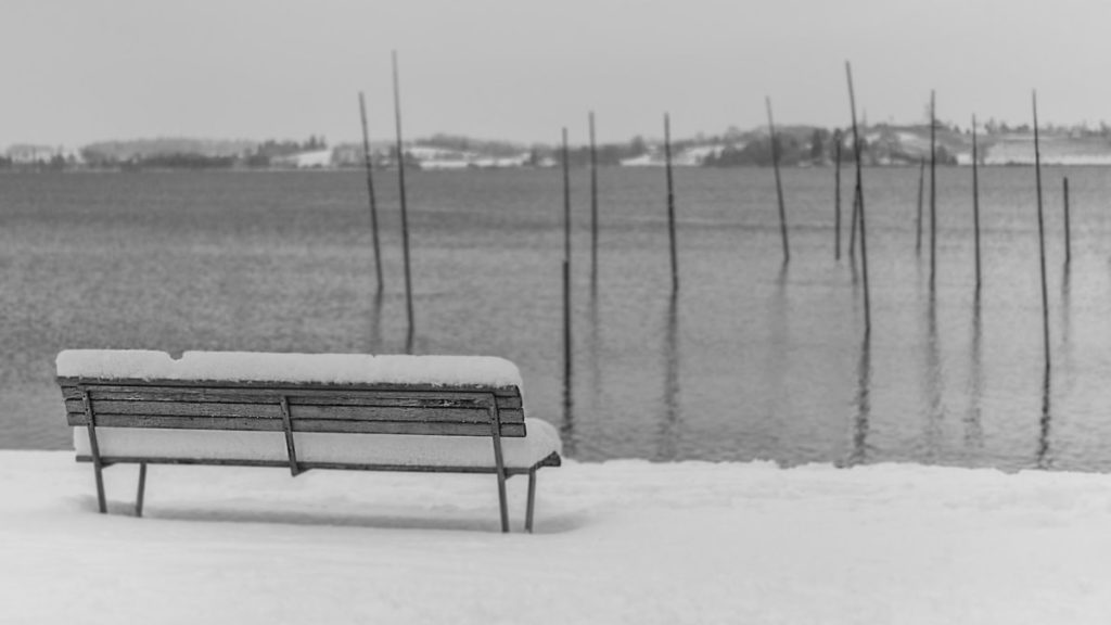 bench on snow covered ground