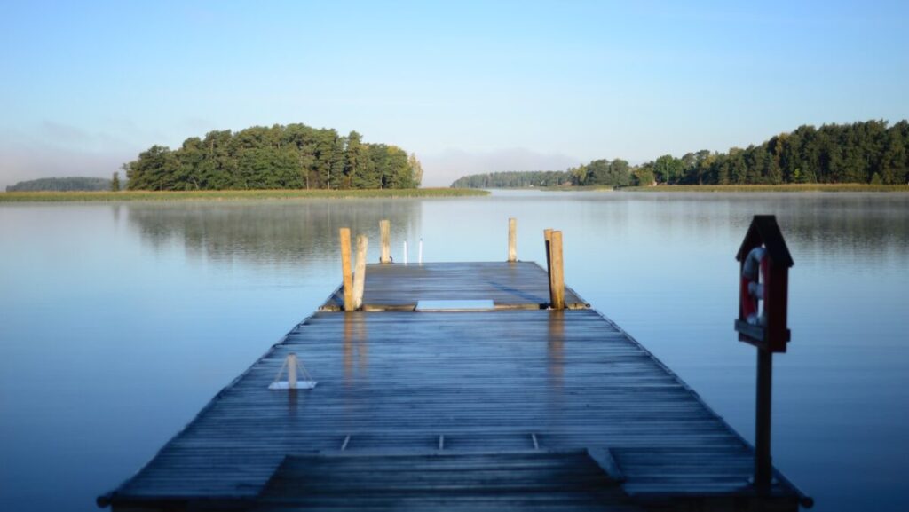 brown wooden dock and lake
