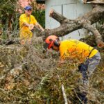 Command or collaboration during Disaster Relief?