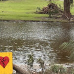 Families sue Camp Mystic, allege gross negligence