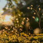 First person: Hoping for a brighter, calmer year ahead? Let us join the journey