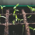 Soaring congregations focus on growth of God’s Kingdom