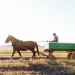 Soaring congregations ask God to pull them forward into the future