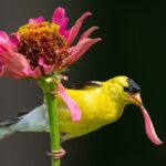 First person: How this photographer found God in the birds