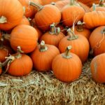 Housing allowance designations: More important than pumpkins